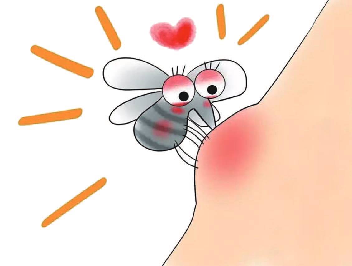 【辟谣】被蚊子咬的包越大 蚊子毒性越强吗？